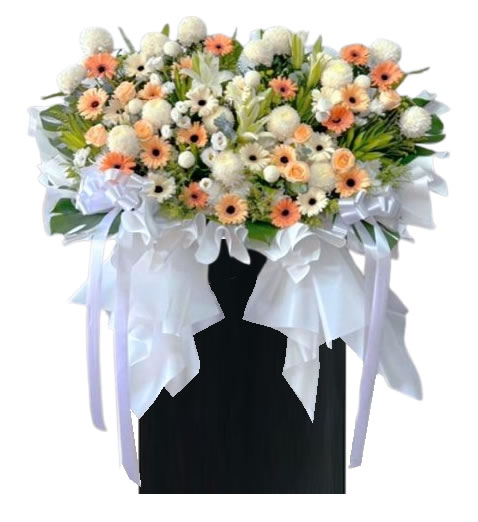 CW211 $338