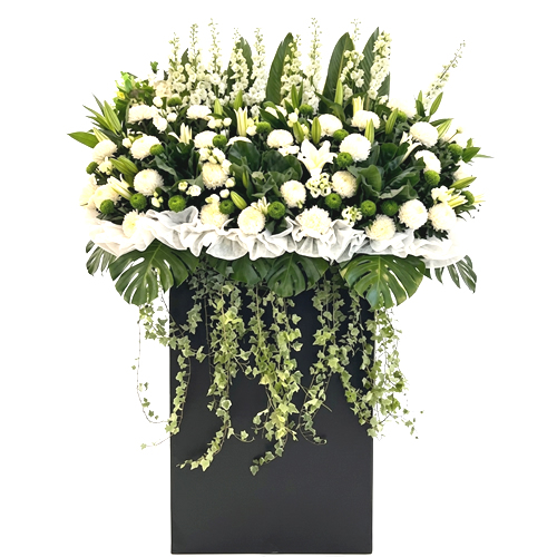 CW218 - $428